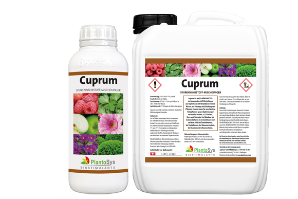 Cuprum