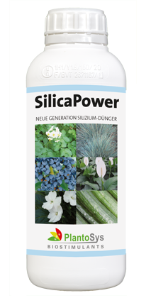 SilicaPower