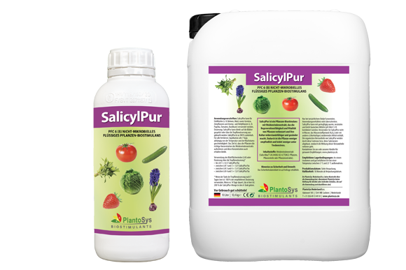 SalicylPur