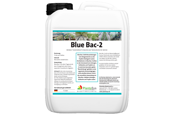 Blue Bac-2