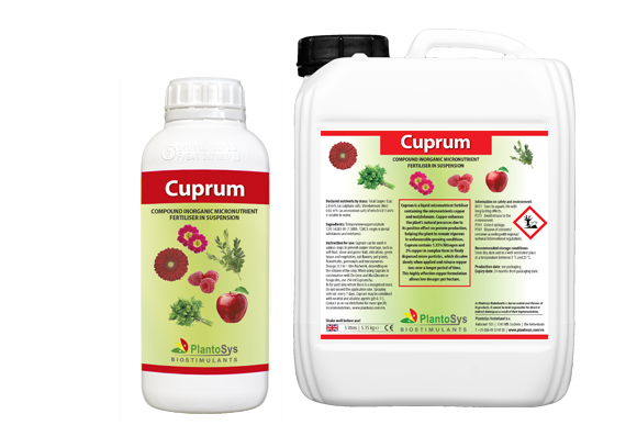 Cuprum
