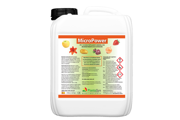 MicroPower