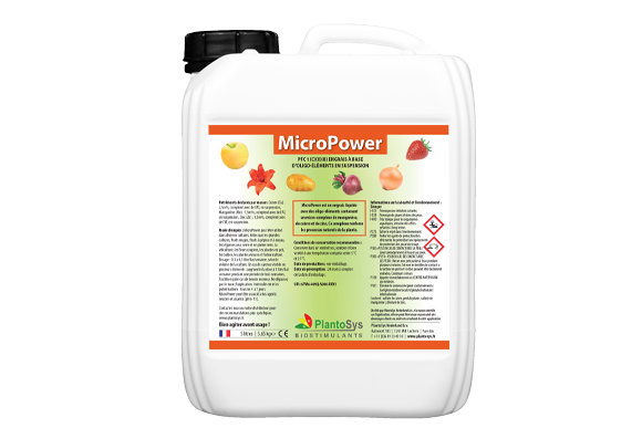 MicroPower
