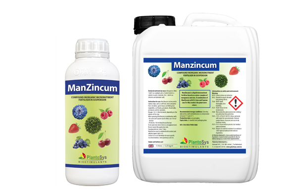 ManZincum