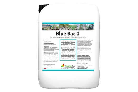 Blue Bac-2